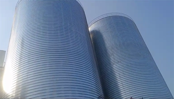 伊吾2座混凝土高架卷板仓